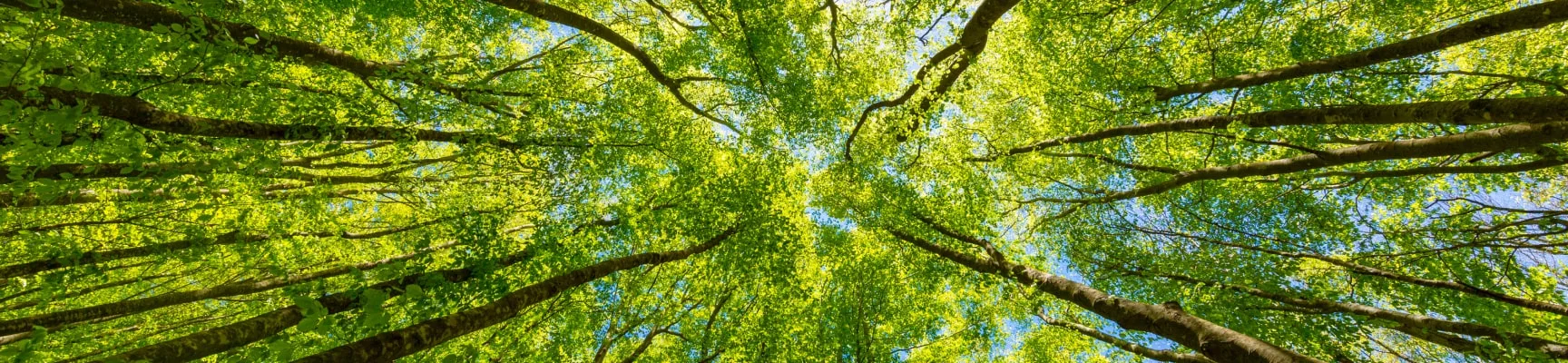Environnement